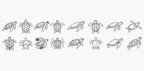 Set of various turtle line art icons, vector illustration of marine animals. © Lunara Arts