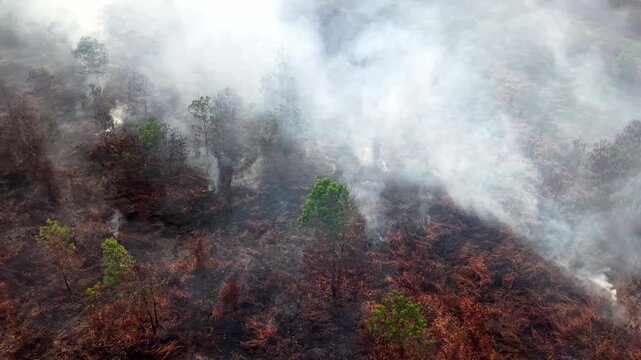 Smoke rises from scorched hillsides