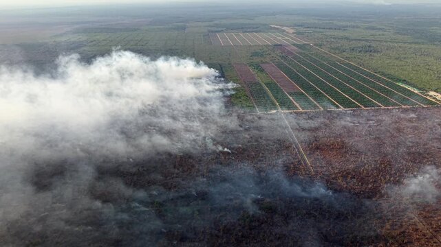 Smoke billows over scorched earth
