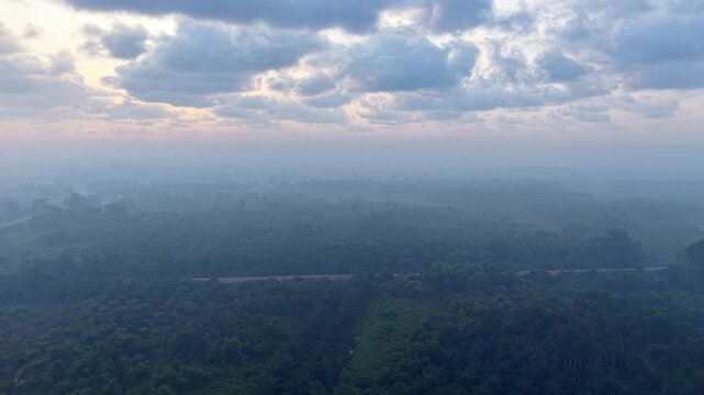 Dense forest stretches under a hazy, cloudy sky