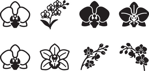 Elegant orchid flower vector illustrations in black and white Vector © Runa