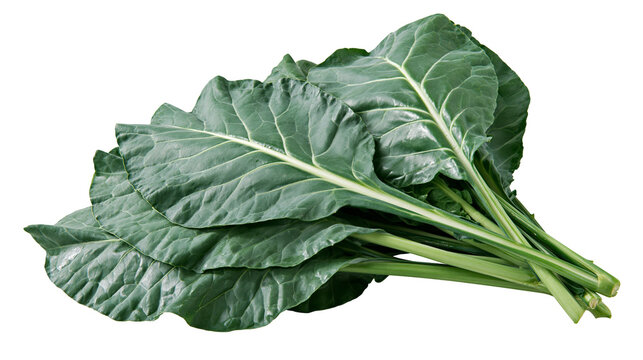Collard greens bunch with thick stems and large wavy leaves