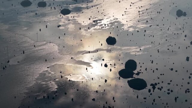 Serene water reflects sunlight with floating debris
