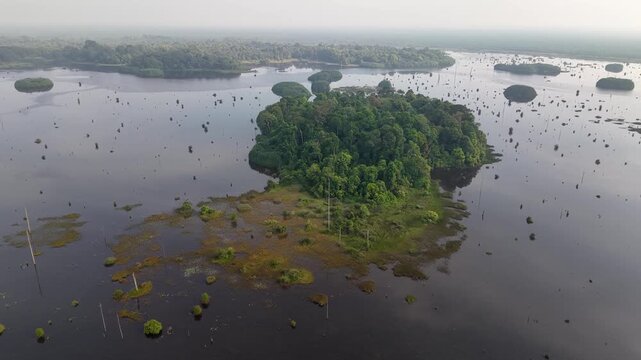 Water laces the landscape with scattered vegetation patches