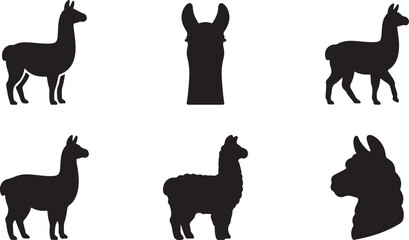 Obraz premium Black silhouette illustrations of llamas and alpacas in different poses Vector