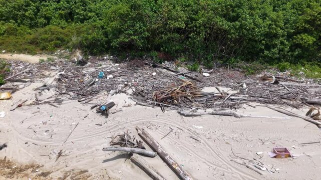 Coastal area littered with debris and driftwood