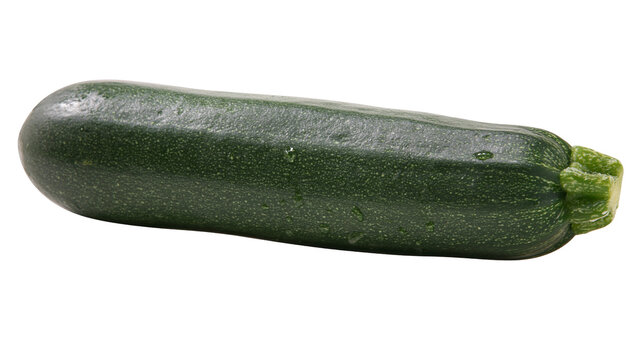 Dark green zucchini squash with water droplets