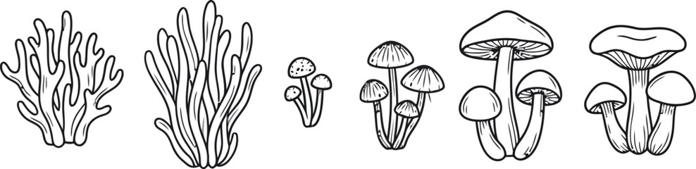  Set of Hand Drawn Coral and Mushroom Line Art Nature Illustrations Collection © Partho