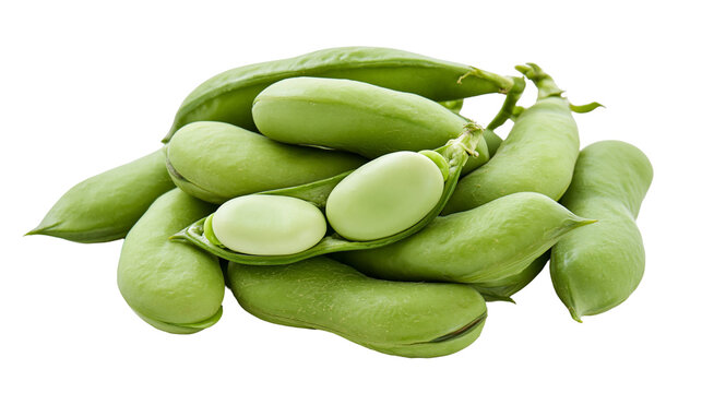 Fresh green broad beans in pods, some shelled showing pale green seeds