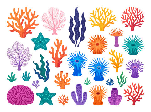 Colorful Vector Coral Reef Elements Set Isolated on White