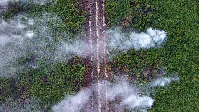 Aerial view shows deforestation and smoke rising