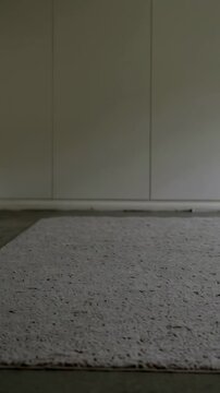 Vertical video: Tilting camera revealing light-gray rug and baseboard scuff in room to show wall
