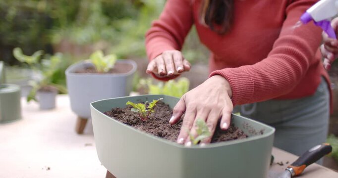 African American woman postplanting patting soil in planter at table while pal misting purple spray