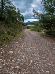 Fototapeta premium Dirt road passing through forest in mountainous terrain