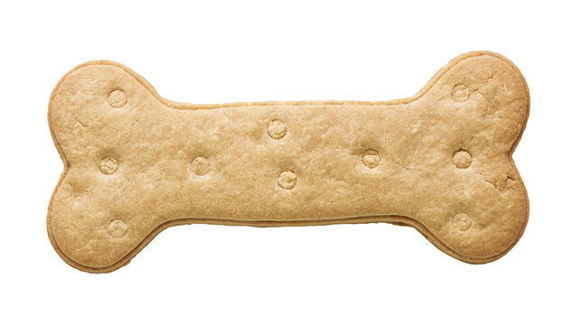 Bone shaped dog biscuit with imprinted circles