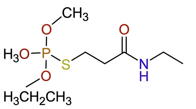 Chemical structure of organophosphate insecticide with sulfur and amide group