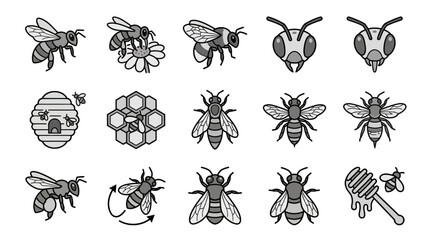 Black and white honey bee and honeycomb icon set. © Dgyno
