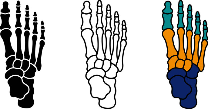 Foot_bones_silhouette_vector_icon_202606291631.eps