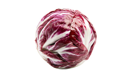 Obraz premium Radicchio lettuce head with vibrant purple and white leaves