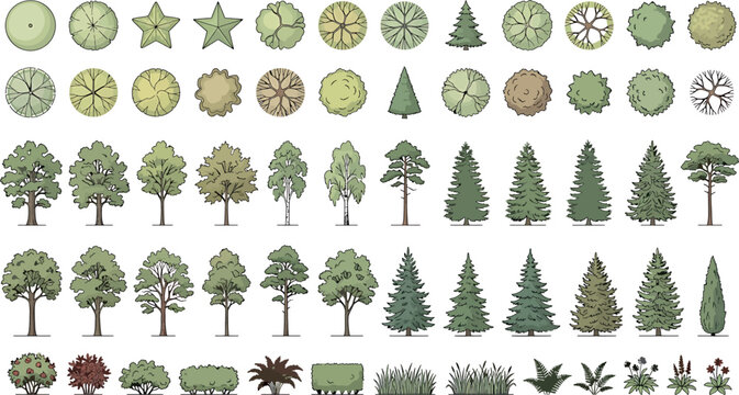 Set of various trees, bushes and plants for architectural landscape design, top view and side view isolated on white background