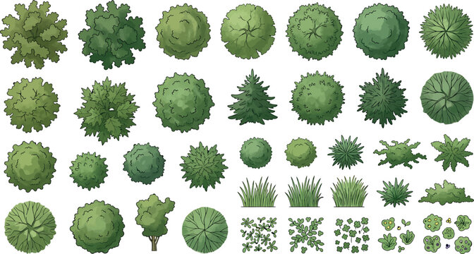 Set of various trees, bushes and plants for architectural landscape design, top view and side view isolated on white background