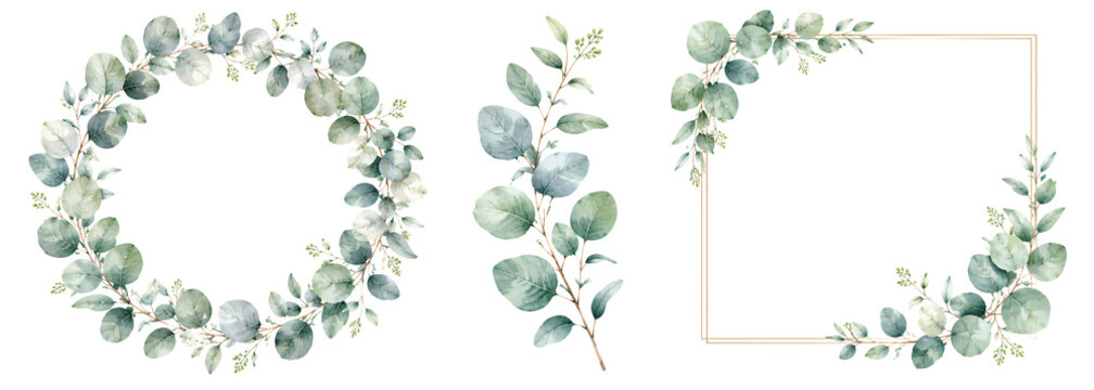 Watercolor eucalyptus frame wreath and branch design elements.