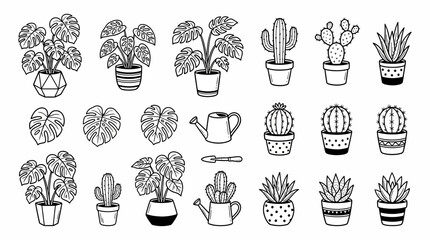 Hand-Drawn Potted Plants and Cacti Collection - Vector Illustration © afgan