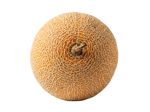 Fresh whole cantaloupe melon or rockmelon isolated on white background