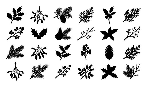 Rustic Winter Botanical Branches with Holly Berries and Mistletoe Vector Illustration Set