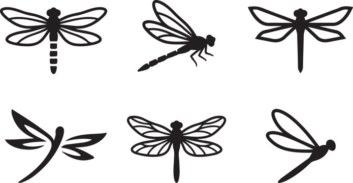 Black and white dragonfly vector illustrations in various poses Vector