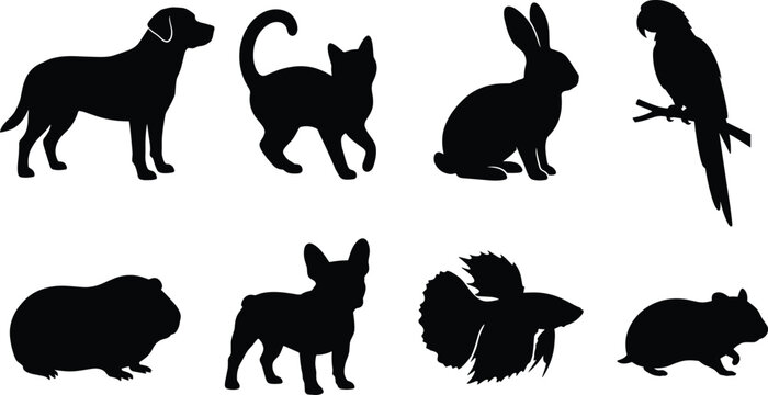 Collection of popular domestic pet silhouettes vector graphic icons isolated on white background