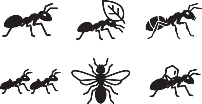 Black ants different types and stages illustrated as icons Vector