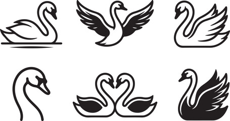 Six set of Black swan and duck illustrations in various poses Vector © mahafuza