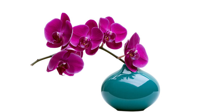 Purple orchid flowers in a teal vase