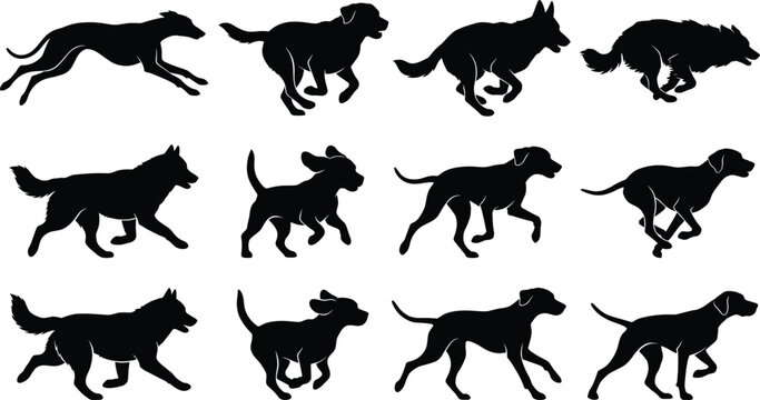 Dog running silhouette collection illustration, active canine movement and motion poses, pet animal graphics bundle