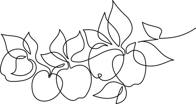 Agricultural design. Tree branch with apples. Harvest concept.