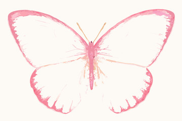 Delicate watercolor butterfly illustration with pink accents on a light background © John Lee