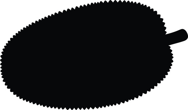 Silhouette vector of a tropical jackfruit isolated on white design