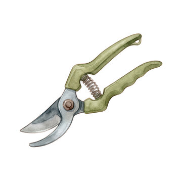 Watercolor illustration of garden pruning shears