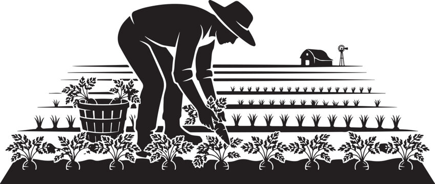 Farmer planting in a garden, silhouette of a man