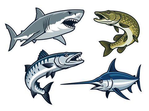 Collection of predatory fish illustrations including shark pike barracuda and swordfish.