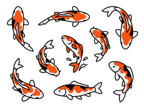 A collection of hand drawn koi fish illustrations in various swimming poses.