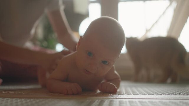 Curious newborn baby with blue eyes learning to hold his head while lying on his tummy, getting a gentle back massage from his loving mother in a sunlit room with the family cat nearby