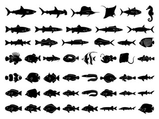 Fototapeta premium A collection of various fish silhouettes arranged in a grid pattern.