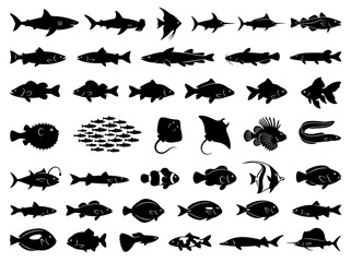 Obraz premium A collection of various fish species silhouettes arranged in a grid pattern.