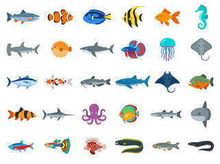 Obraz premium A diverse collection of colorful marine life and aquatic creatures in a grid layout.
