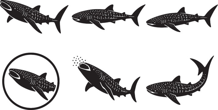 Whale Shark Silhouette Icon Set Ocean Giant Marine Wildlife Vector Collection
