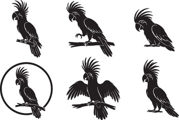 Palm Cockatoo Silhouette Icon Set Vector Collection © chien