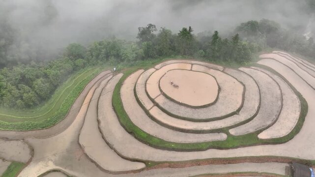 Aerial View of Hoang Su Phi Terraced Rice Fields During Water Season, Tuyen Quang, Vietnam