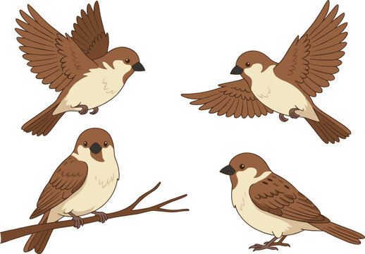 Vector set of cute cartoon house sparrows flying and perched on a tree branch illustration